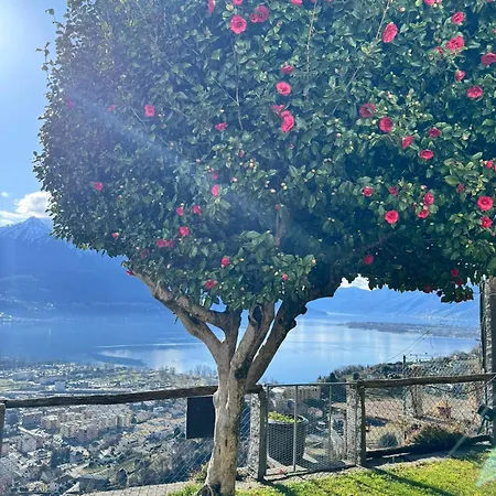 Casa Reto - Im Tessin Tatil Evi *